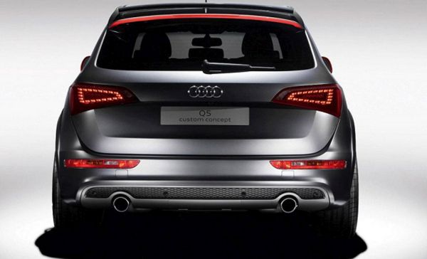 2015 - Audi SQ5 Rear View